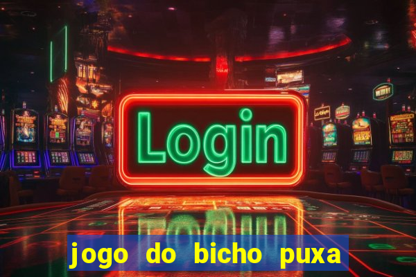 jogo do bicho puxa de dona maria